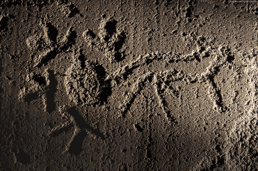 solh�st fr�n Arendal