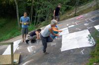 Fieldwork at L�v�sen