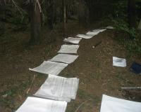 Val Camonica, Campanine, the sheets