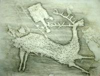 Val Camonica, Naquane, rubbing